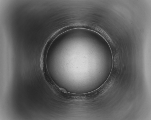 X0000102500436200808081352