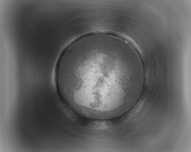 X0000102500439200808081352