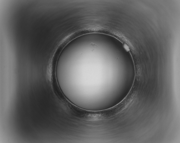 X0000102500440200808081352