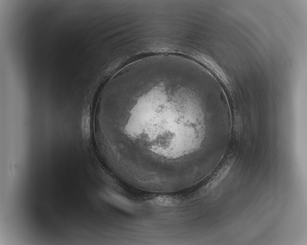 X0000102500441200808081352