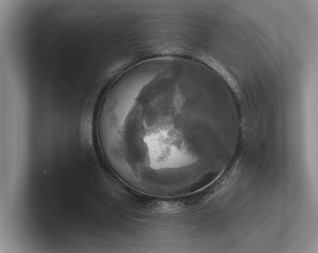 X0000102500442200808081352