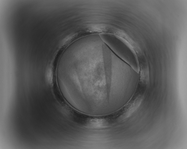 X0000102500444200808081352