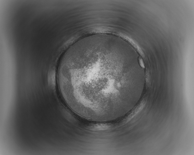 X0000102500445200808081352