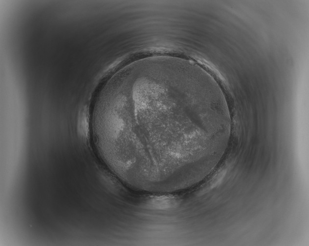 X0000102500446200808081352