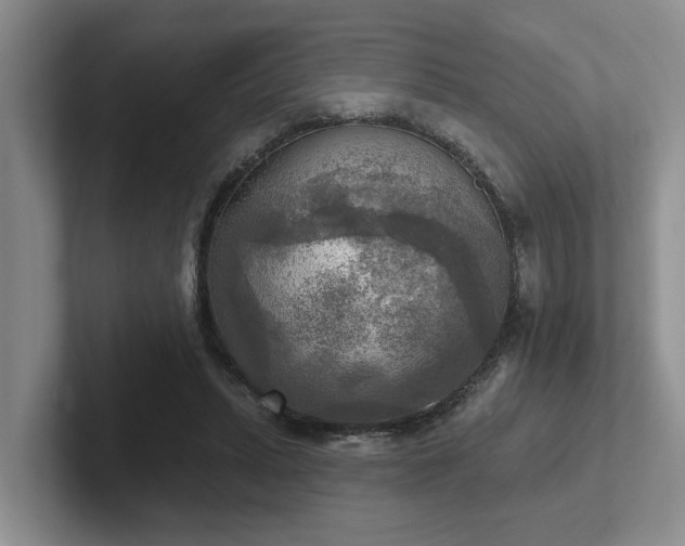 X0000102500447200808081352