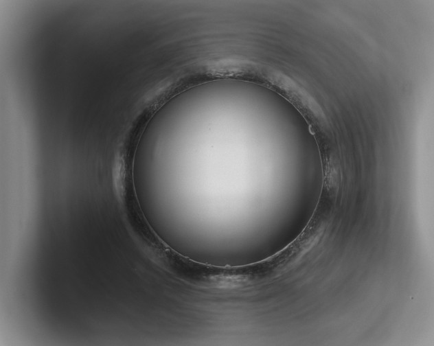 X0000102500448200808081352