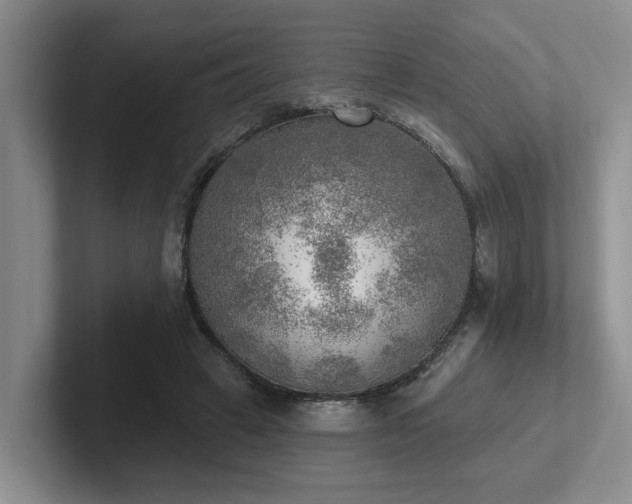 X0000102500449200808081352