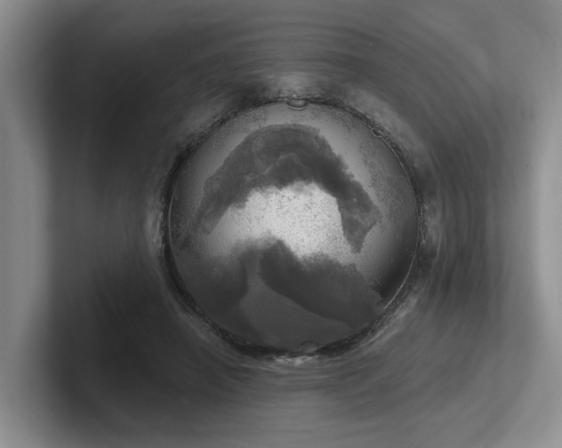 X0000102500450200808081352