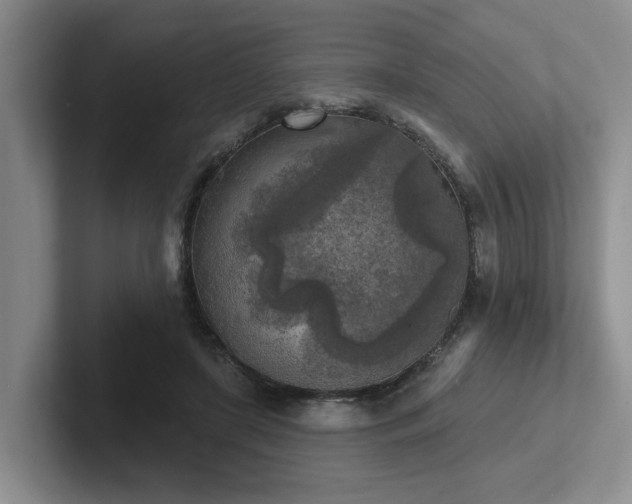 X0000102500451200808081352