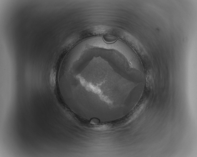 X0000102500454200808081352