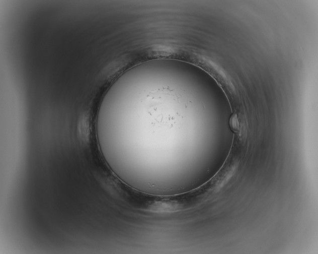 X0000102500455200808081352