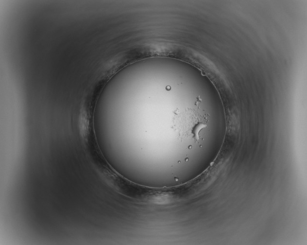 X0000102500456200808081352