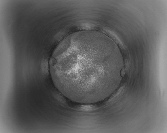 X0000102500457200808081352