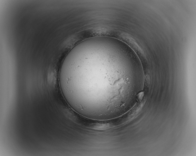 X0000102500458200808081352