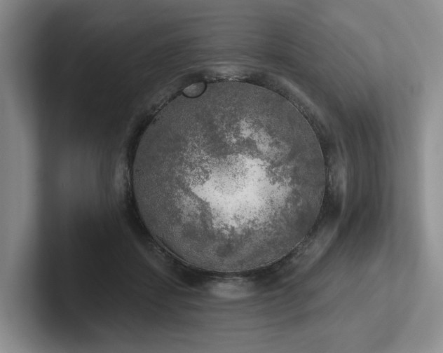 X0000102500459200808081352