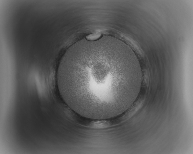 X0000102500461200808081352