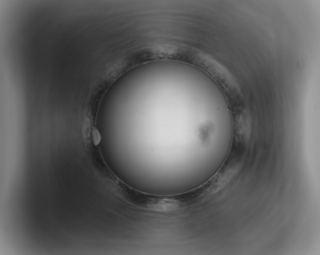 X0000102500463200808081352