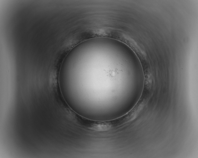 X0000102500466200808081352