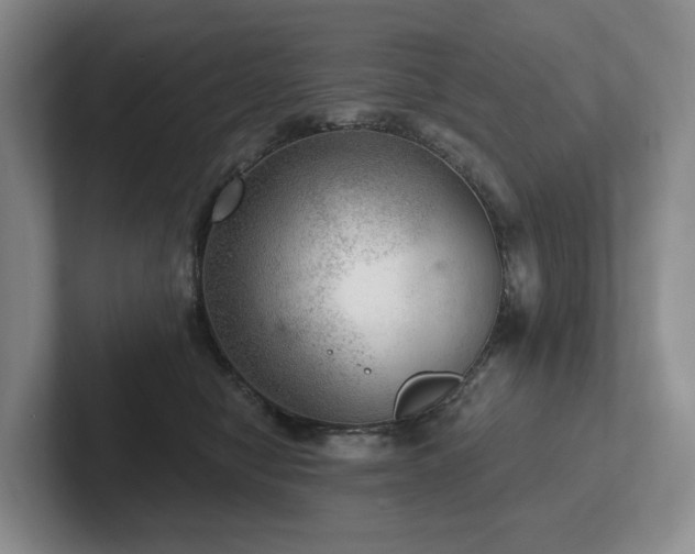 X0000102500470200808081352