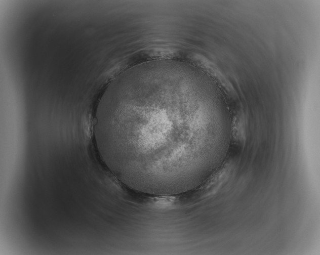 X0000102500474200808081352