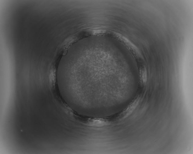 X0000102500475200808081352