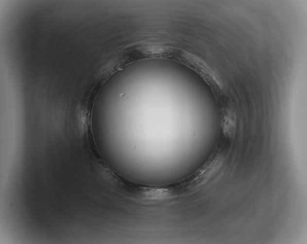 X0000102500476200808081352