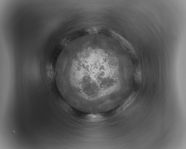 X0000102500477200808081352