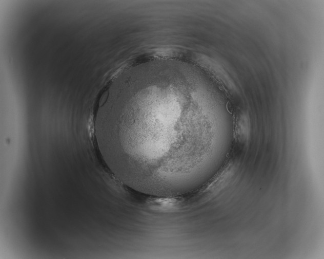 X0000102500478200808081352