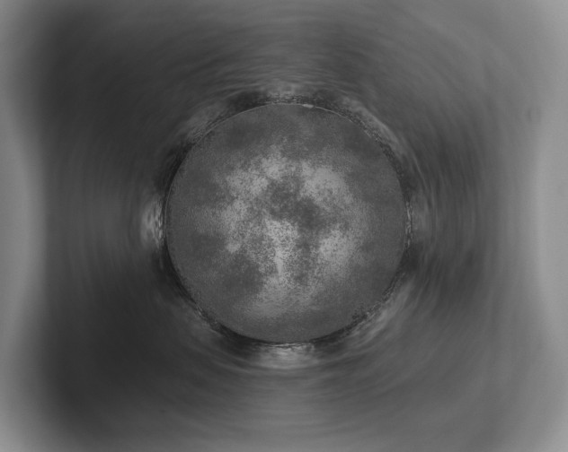 X0000102500479200808081352