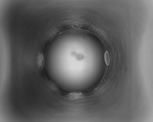 X0000102500480200808081352