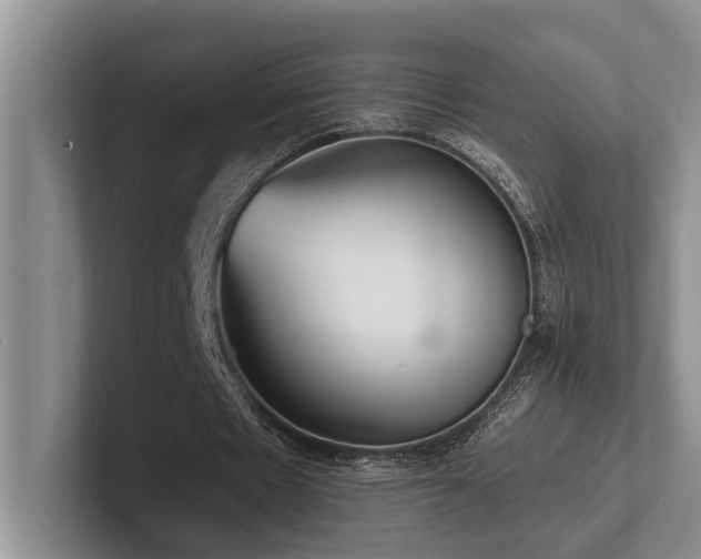 X0000102500481200808081352