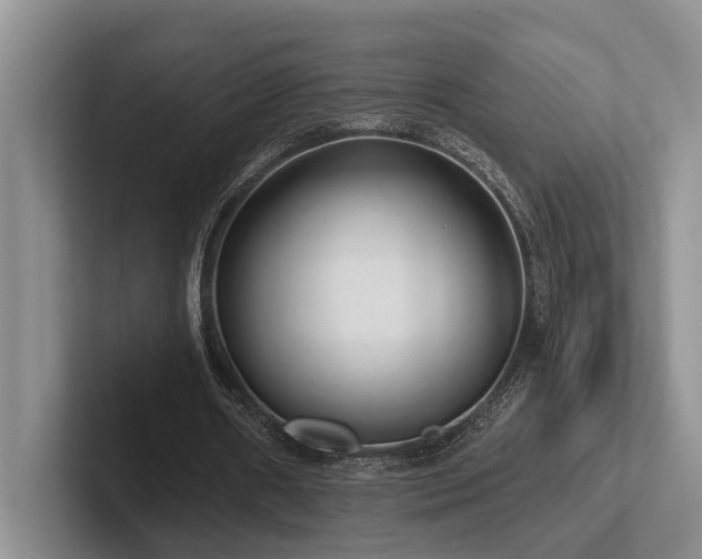 X0000102500482200808081352