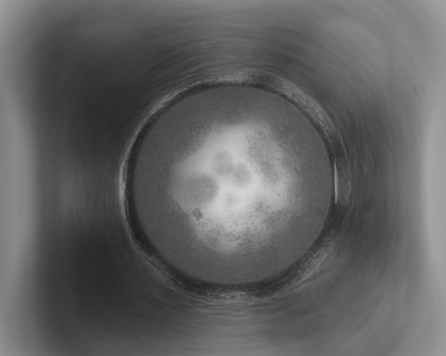 X0000102500483200808081352