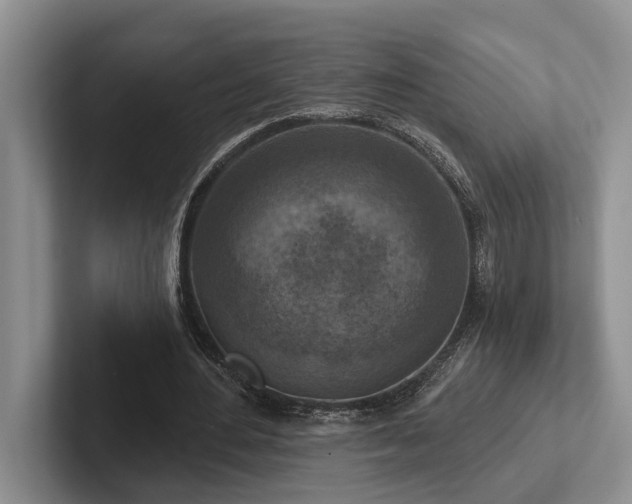 X0000102500484200808081352