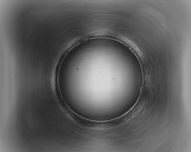 X0000102500485200808081352