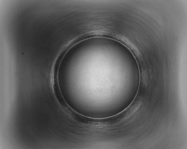 X0000102500486200808081352