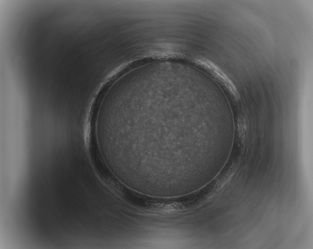 X0000102500488200808081352