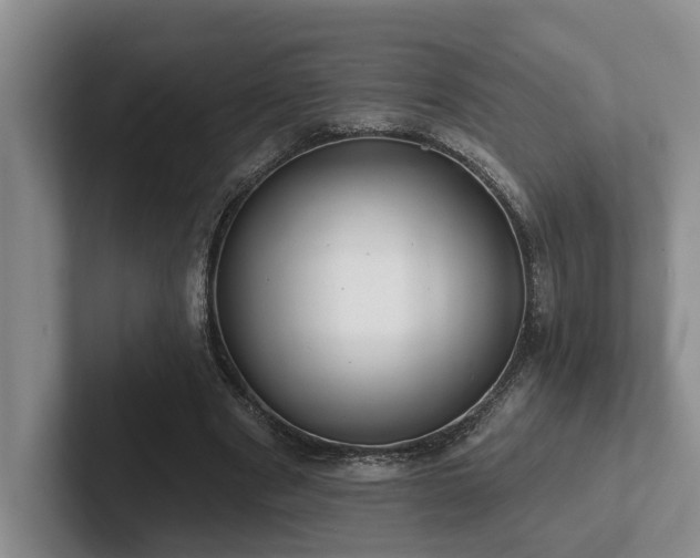 X0000102500489200808081352