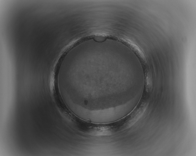 X0000102500492200808081352