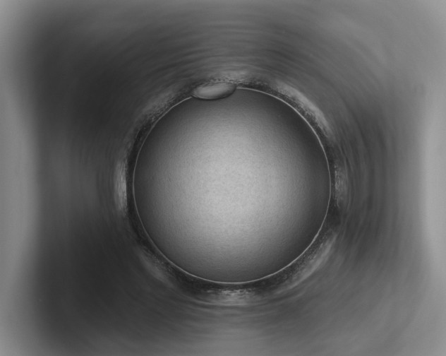 X0000102500493200808081352