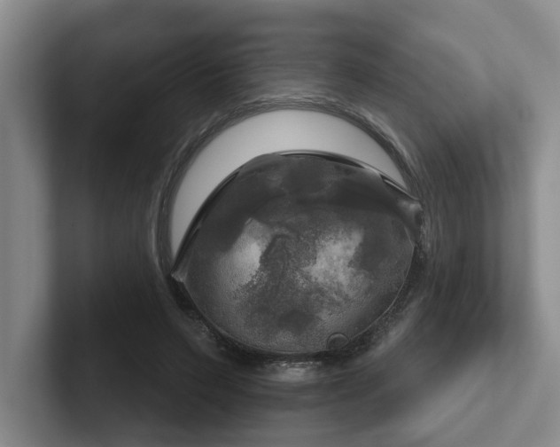 X0000102500495200808081352