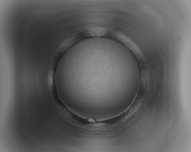 X0000102500501200808081352