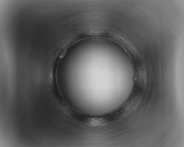 X0000102500508200808081351