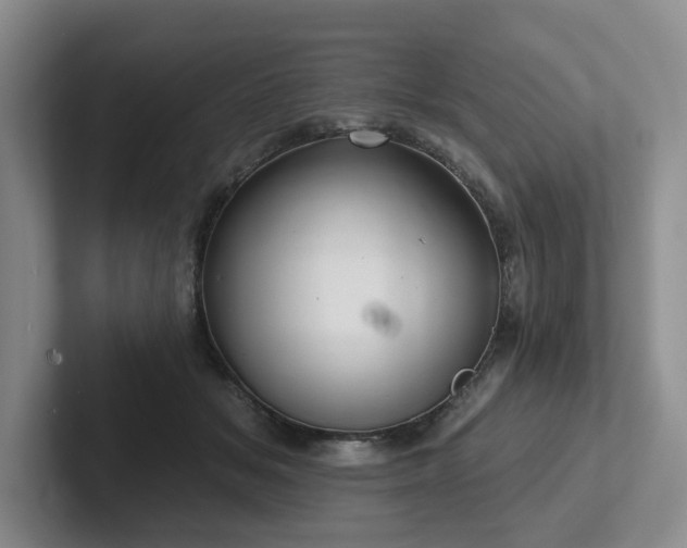 X0000102500509200808081351