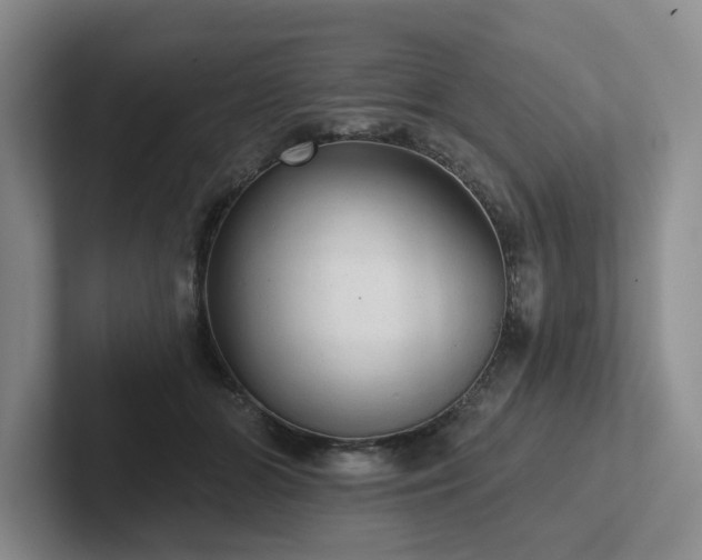 X0000102500510200808081351