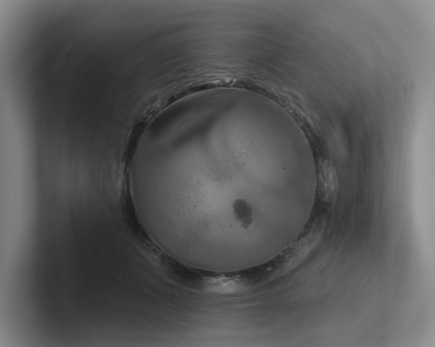 X0000102500511200808081351