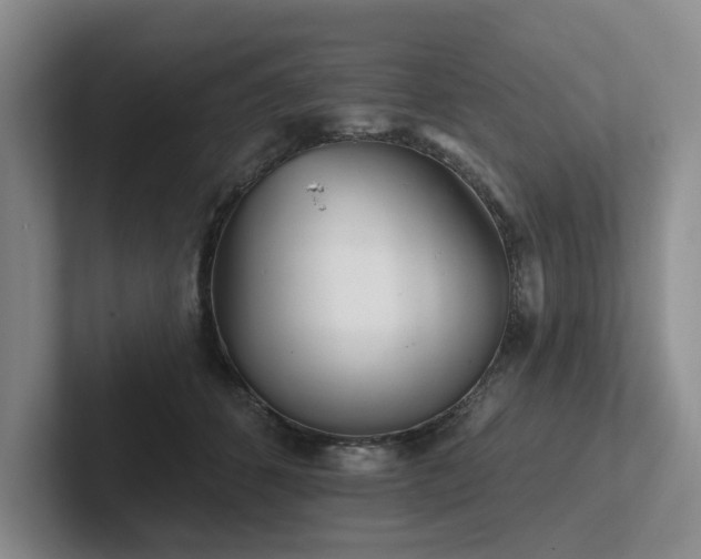 X0000102500512200808081351