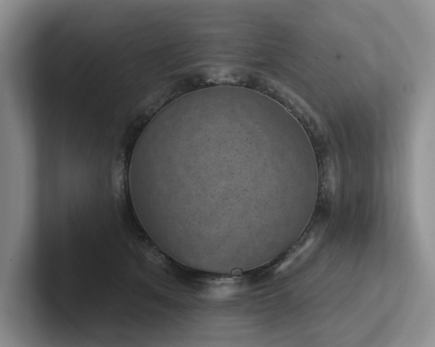 X0000102500513200808081351