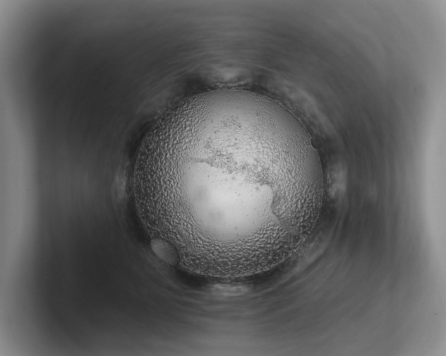 X0000102500515200808081351