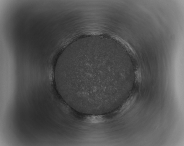 X0000102500517200808081351